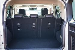 2025 GWM GWM TANK 300