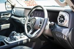 2025 GWM GWM TANK 300