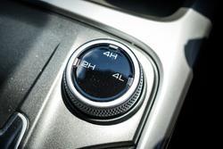 2025 GWM GWM TANK 300