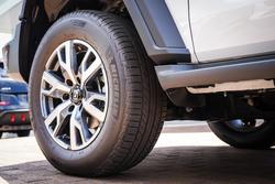 2025 GWM GWM TANK 300