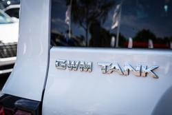 2025 GWM GWM TANK 300