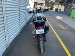 2025 Triumph Tiger 900 GT Pro Tiger Black