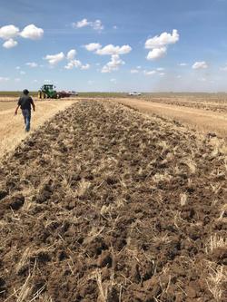 0 Tatu Gcro 7010 56 Plate Offset Disc New RED