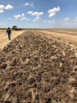 0 Tatu Gcro 7010 56 Plate Offset Disc New RED