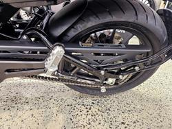 2024 Harley-Davidson X 500 X Black