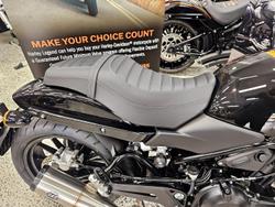 2024 Harley-Davidson X 500 X Black