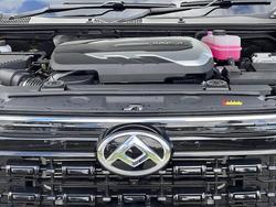 2024 LDV
T60 MAX PLUS