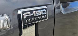2022 Ford
                F-150 Platinum