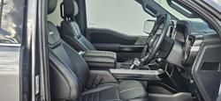 2022 Ford
                F-150 Platinum