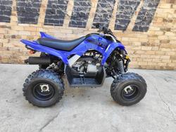 Yamaha Raptor 110 (YFM110R)