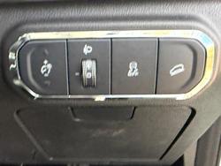 2024 GWM Cannon Alpha Lux