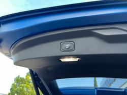 2024 Ford Everest Sport MY24.50 Blue Lightning