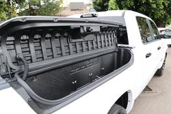 2025 Ram
1500