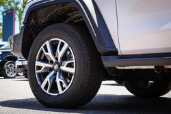 2023 GWM GWM TANK 300