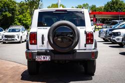 2023 GWM GWM TANK 300