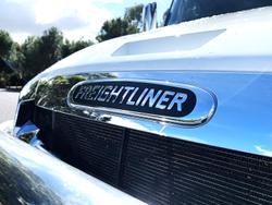 2023 Freightliner Cascadia 126 WHITE