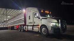 2023 Freightliner Cascadia 126 WHITE