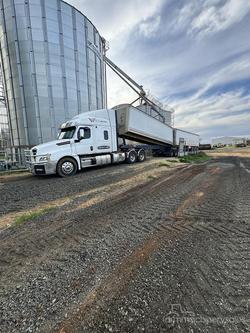 2023 Freightliner Cascadia 126 WHITE