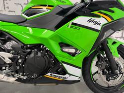 2025 Kawasaki Ninja 500 SE KRT Edition (EX500J) Ninja Green