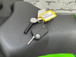 2025 Kawasaki Ninja 500 SE KRT Edition (EX500J) Ninja Green