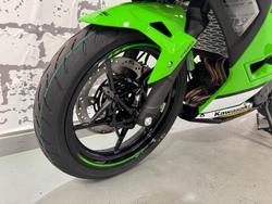 2025 Kawasaki Ninja 500 SE KRT Edition (EX500J) Ninja Green