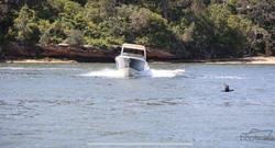 2022 Chris Craft Launch 28 GT