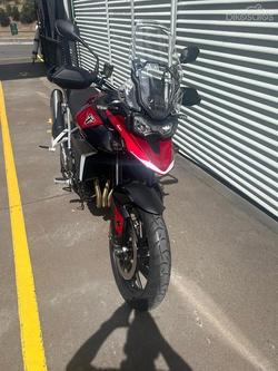 2025 Triumph Tiger 900 GT Pro Tiger Black