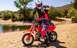 2025 Honda CRF50F CRF White