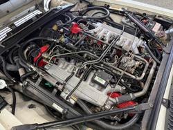 1982 Jaguar XJS HE (No Series) White