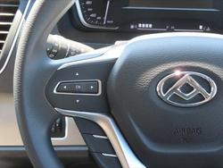 2023 LDV
G10 +