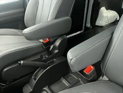 2023 LDV
G10 +