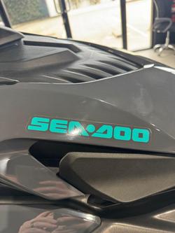 2025 SEA-DOO GTR 230