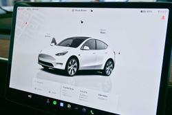 2022 Tesla
                Model Y Rear-Wheel Drive