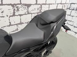 2024 Kawasaki Ninja 500 (EX500G) Ninja Grey