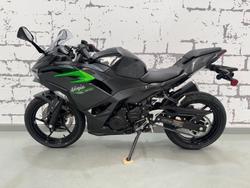 2024 Kawasaki Ninja 500 (EX500G) Ninja Grey