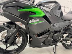 2024 Kawasaki Ninja 500 (EX500G) Ninja Grey