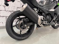 2024 Kawasaki Ninja 500 (EX500G) Ninja Grey