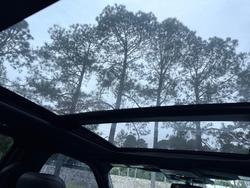 2023 Ford F-150 Platinum (No Series) White