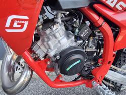 2024 Gas Gas MC 50 MC Red