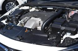 2019 Holden
                Commodore LT