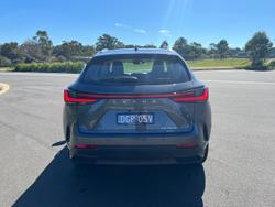 2024 Lexus
NX 350h Luxury