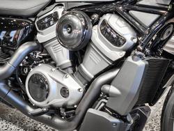 2024 Harley-Davidson Nightster (RH975) Sportster Grey