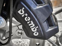 2024 Harley-Davidson Nightster (RH975) Sportster Grey