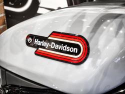 2024 Harley-Davidson Nightster (RH975) Sportster Grey