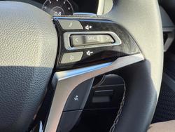 2024 LDV
                D90 Mode
