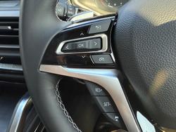 2024 LDV
                D90 Mode