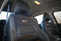 2013 Ford Performance Vehicles
                GT Boss 335