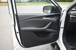 2024 LDV
                T60 Max PLUS