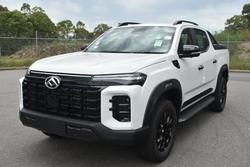 2024 LDV
                T60 Max PLUS