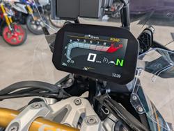 2024 BMW Motorrad R 1300 GS Option 719 R 1300 Green